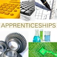 apprenticeship options in Ireland