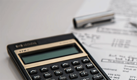 Professional Payroll Manager