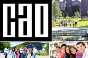 Third Level and CAO Business Studies  Courses in Ireland