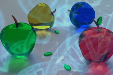 Pre-University Food Science, Nutrition and Well-being - Find a Course