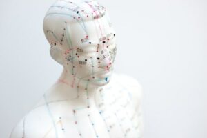 Acupuncture Courses