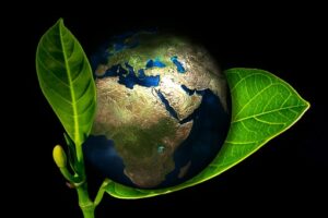 Environmental & Sustainability Studies (New 2023)