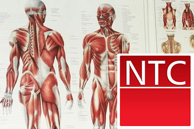 National Qualification in Neuromuscular Physical Therapy