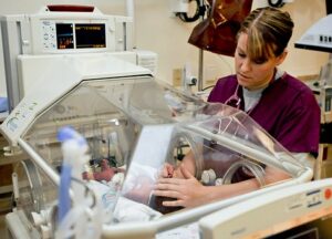 Nursing Studies and Pre Nursing PLC Courses