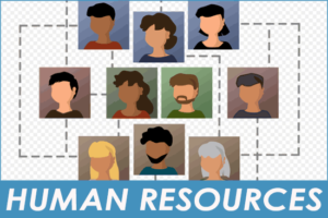 Human Resources - HR  Courses in Ireland