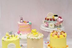 Cake Decorating for Beginners