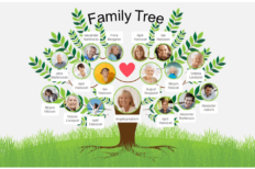 Genealogy – Irish