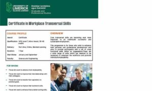 Certificate in Workplace Transversal Skills