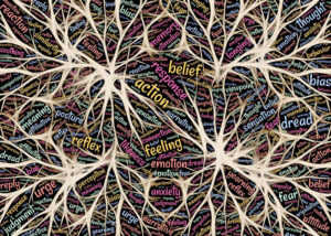 Counselling and Psychology courses in Ireland. Training and CPD Options